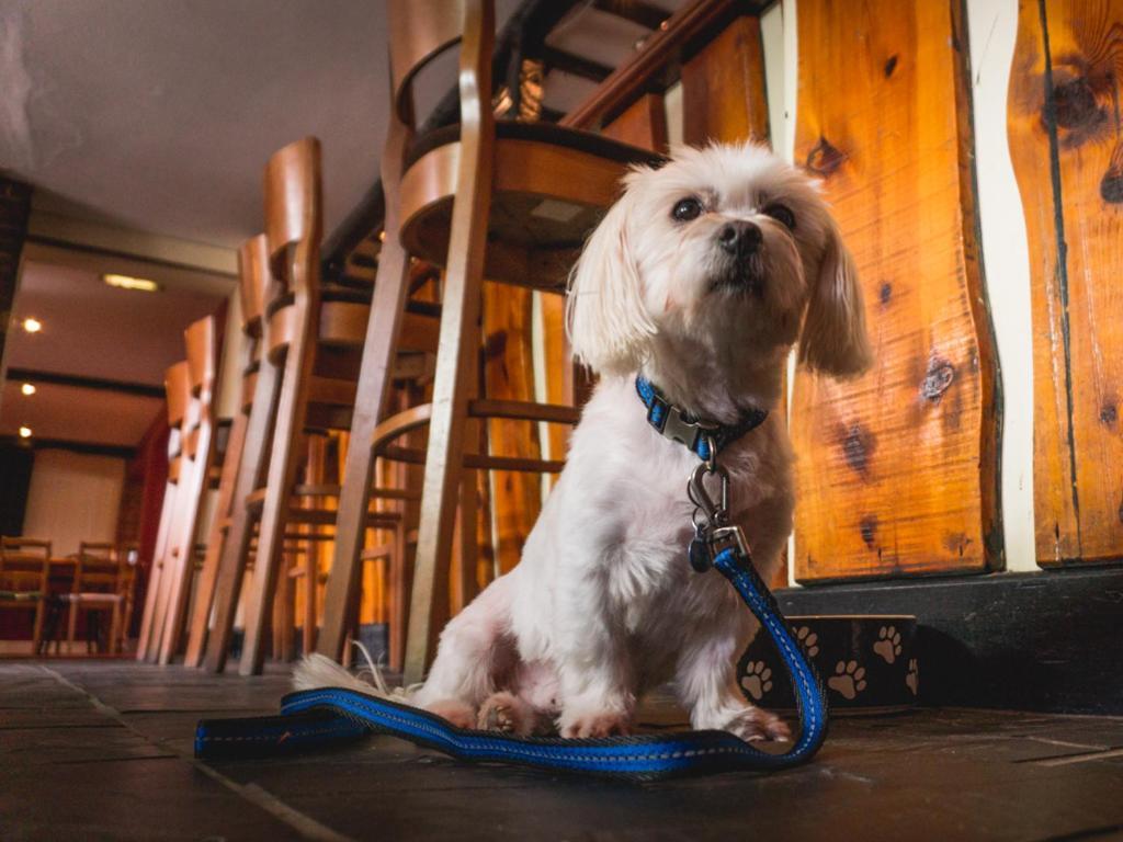 The Shoe Inn Plaitford Bagian luar foto